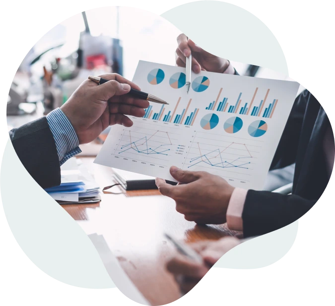 portfolio asset